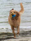 Hauptsache, der Ball ist wieder da!