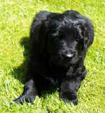 Black is beautiful!