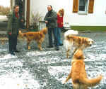 Begrüßung im Hof