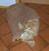 Die Kuscheldecke spielt toll mit!