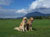 Urlaubstage in Sonthofen