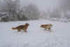 Jetzt schon Winter?