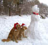 Winterfreund