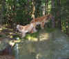 ... im Wald ,