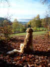 Herbststimmung