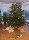 Ruhige Weihnachtstage!