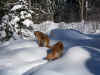 Winter - Schnee - Sonne - perfekt!