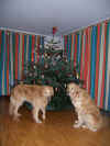 ... aufs Christkind.