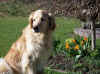 Aprilsonne ohne Hera
