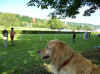 An der Galopp-Rennbahn