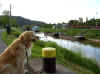 Abends an der Saar