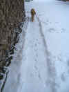 It's a long way ...