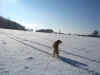 Lange Schatten