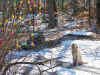 Schnee Ende Mrz