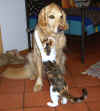 Ich hab Dich soooo lieb!