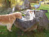 Regenwasser schmeckt!
