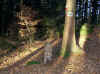Herbstlicht im Februar
