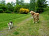 2014-05-01-mausi-eos-heim.jpg (179395 Byte)