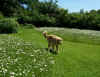 2014-05-25-margariten-eos-2.jpg (190254 Byte)