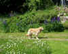 2014-05-25-margariten-eos-3.jpg (202326 Byte)