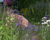 2014-06-09-blumeneos-1.jpg (187068 Byte)