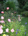 2014-06-09-blumeneos-4.jpg (169561 Byte)