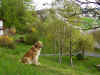2015-04-26-kirschenbluete-4.jpg (192698 Byte)