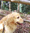 2015-08-25-lohberg-5.jpg (200088 Byte)