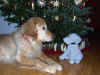2015-12-24-stoffhund-01.jpg (409191 Byte)