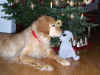 2015-12-24-stoffhund-02.jpg (448136 Byte)