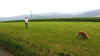 2016-07-17-faehrte-5.jpg (96657 Byte)