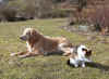 2018-03-20-mausi-eos-4.jpg (397798 Byte)