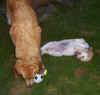 Ballbesitz!
