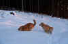 Schneespiele