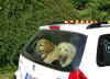 Auf gehts zum Hundeplatz!
