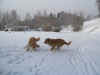 In diesem tollen Schnee ...