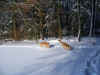Schneewandern
