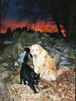 Abendstimmung