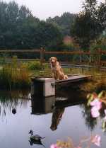 Sommerferien