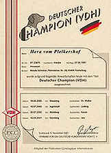 Deutscher Champion VDH