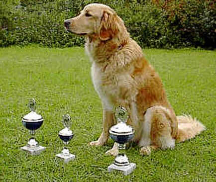 Landessiegerin 2001