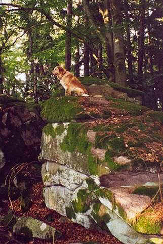 Hera als "Felsenknigin"